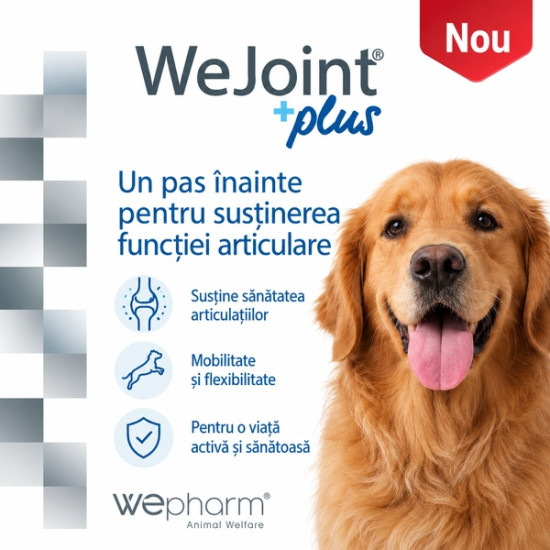 WeJoint Plus Large Breeds – Supliment Articular pentru Câini de Talie Mare, 30 Tablete – WePharm